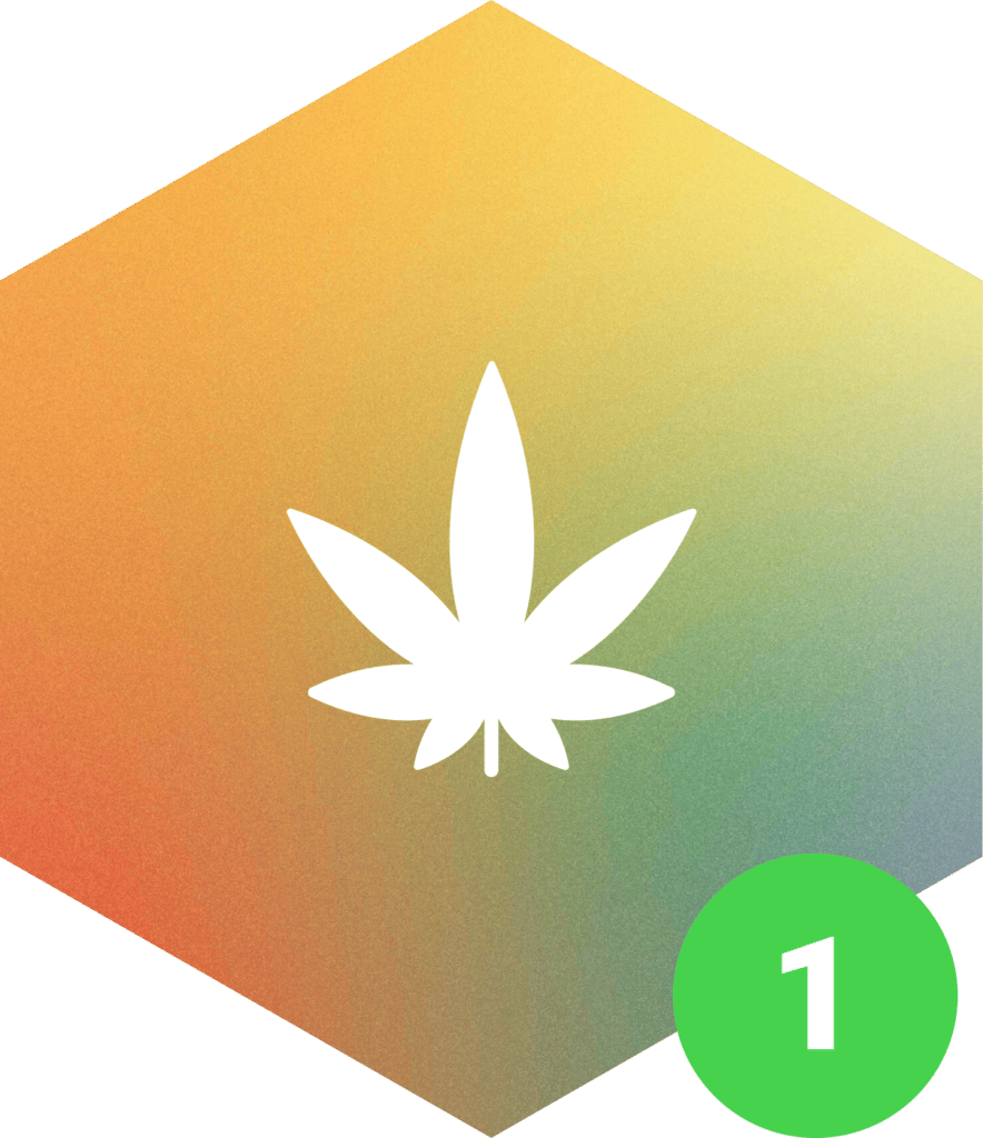 Ein weißes Cannabisblatt-Symbol befindet sich in der Mitte eines Sechsecks mit einem Farbverlauf aus gelben, orangefarbenen, grünen und roten Tönen - perfekt für die Darstellung von Medizinalcannabis oder Produkten aus einer Cannabis-Apotheke. Ein grüner Kreis mit der Zahl 1 erscheint in der unteren rechten Ecke.